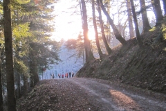 Capodanno 2015-16 Foreste Casentinesi